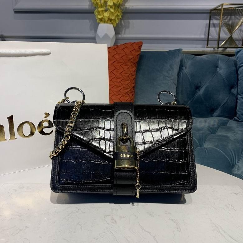 Chloe Handbags 36